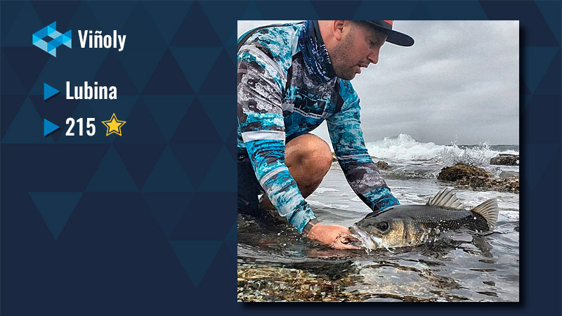 pesca lubina