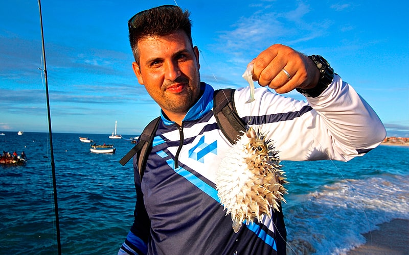 Pez Erizo Cabo Verde