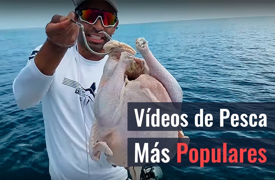 Los Vídeos de Pesca Más Populares Los Vídeos de Pesca Más Populares
