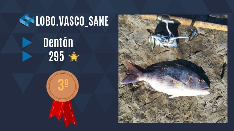 Lobo Vasco WeFish