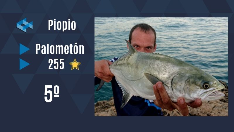 Captura Piopio WeFish