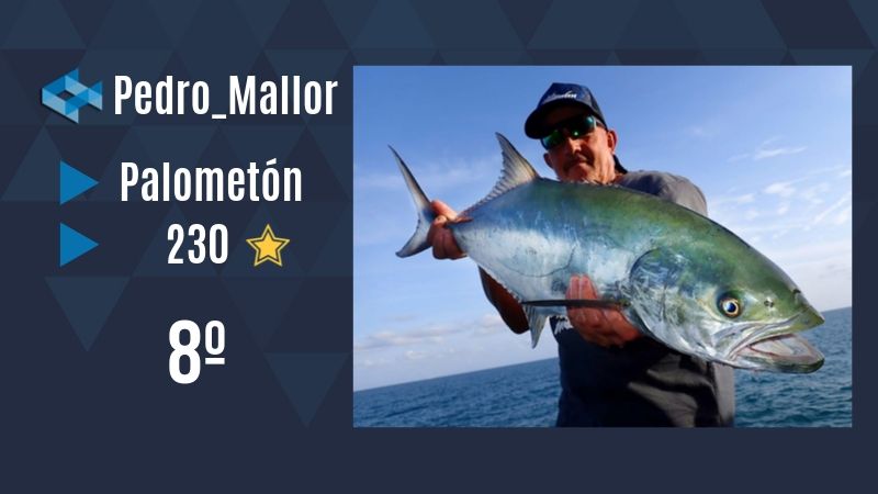 Mejores capturas WeFish