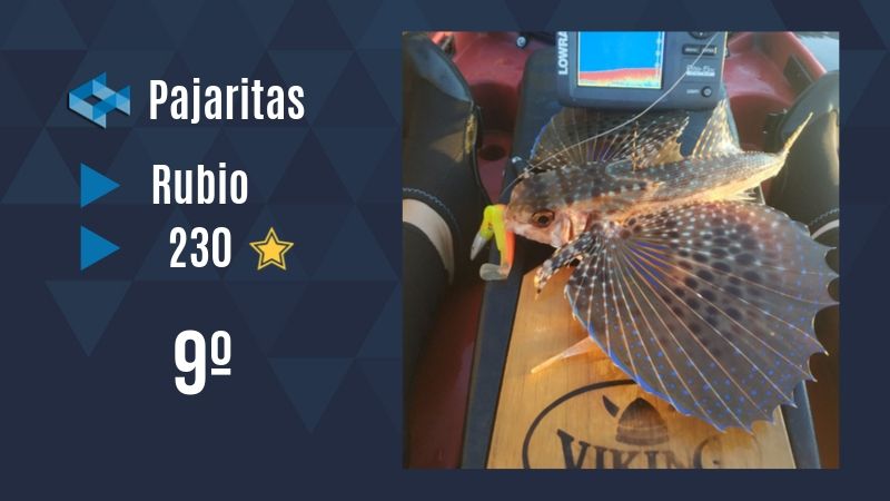 Top capturas septiembre WeFish