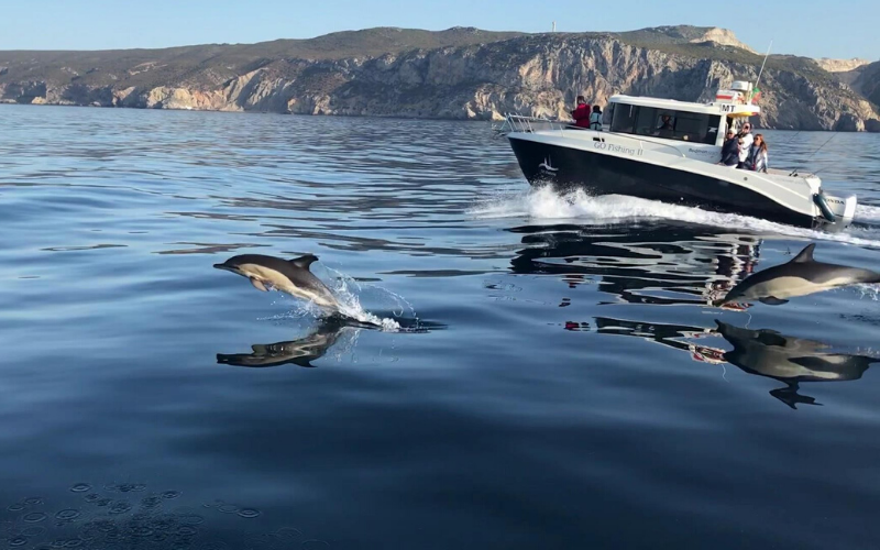 Viajes de pesca Portugal