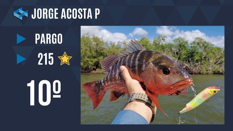 Top 10 capturas octubre WeFish