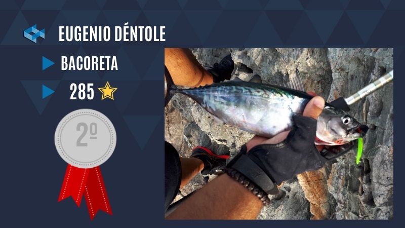 Bacoreta WeFish