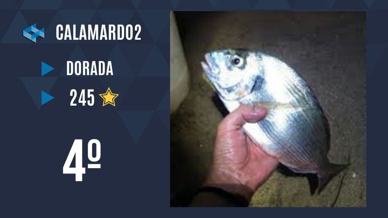 Pesca Dorada WeFish