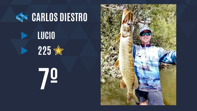 Pesca Lucio WeFish