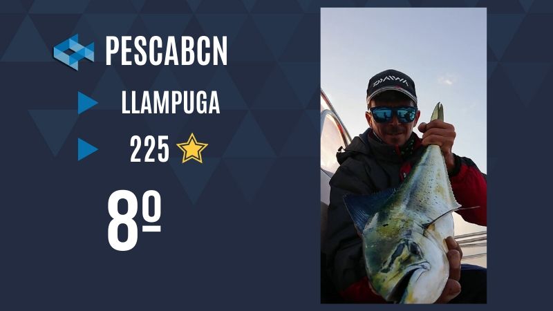 PescaBCN captura WeFish.