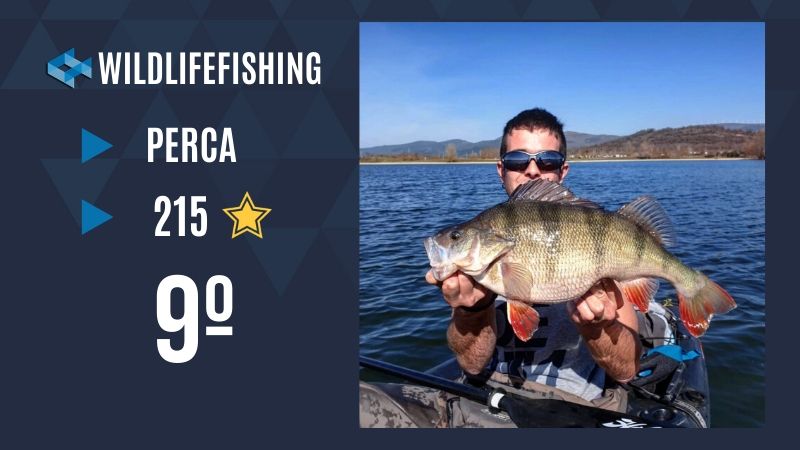 Wild Life Fishing WeFish