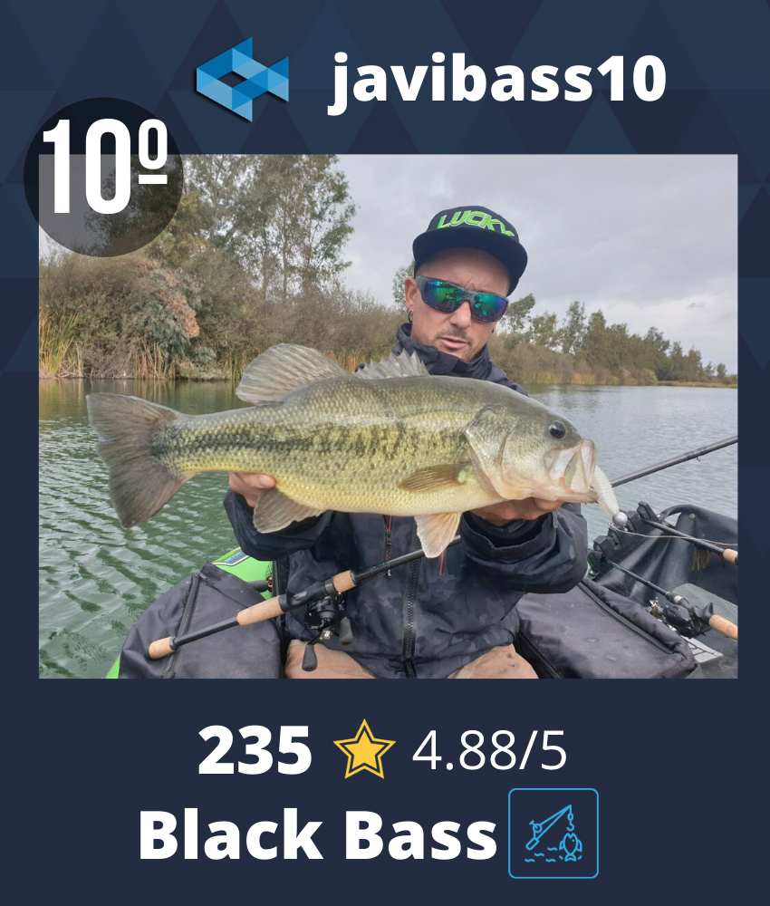 Pesca Black Bass