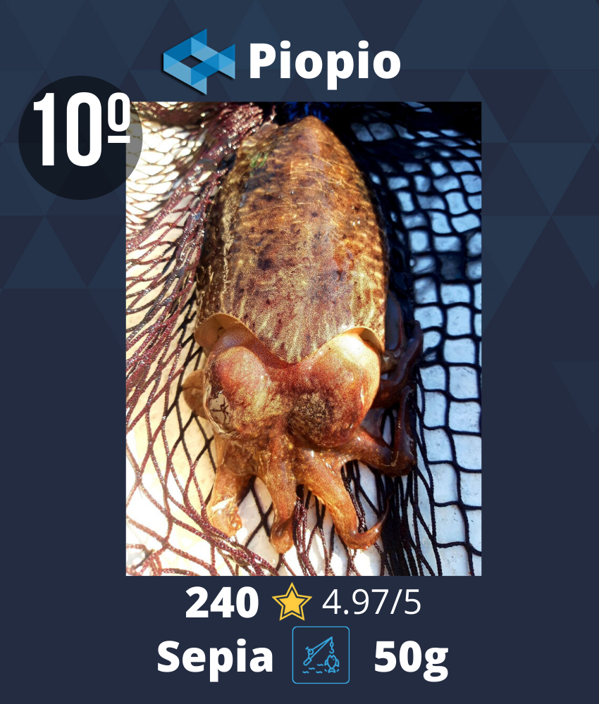 Mejores capturas diciembre 2019 WeFish