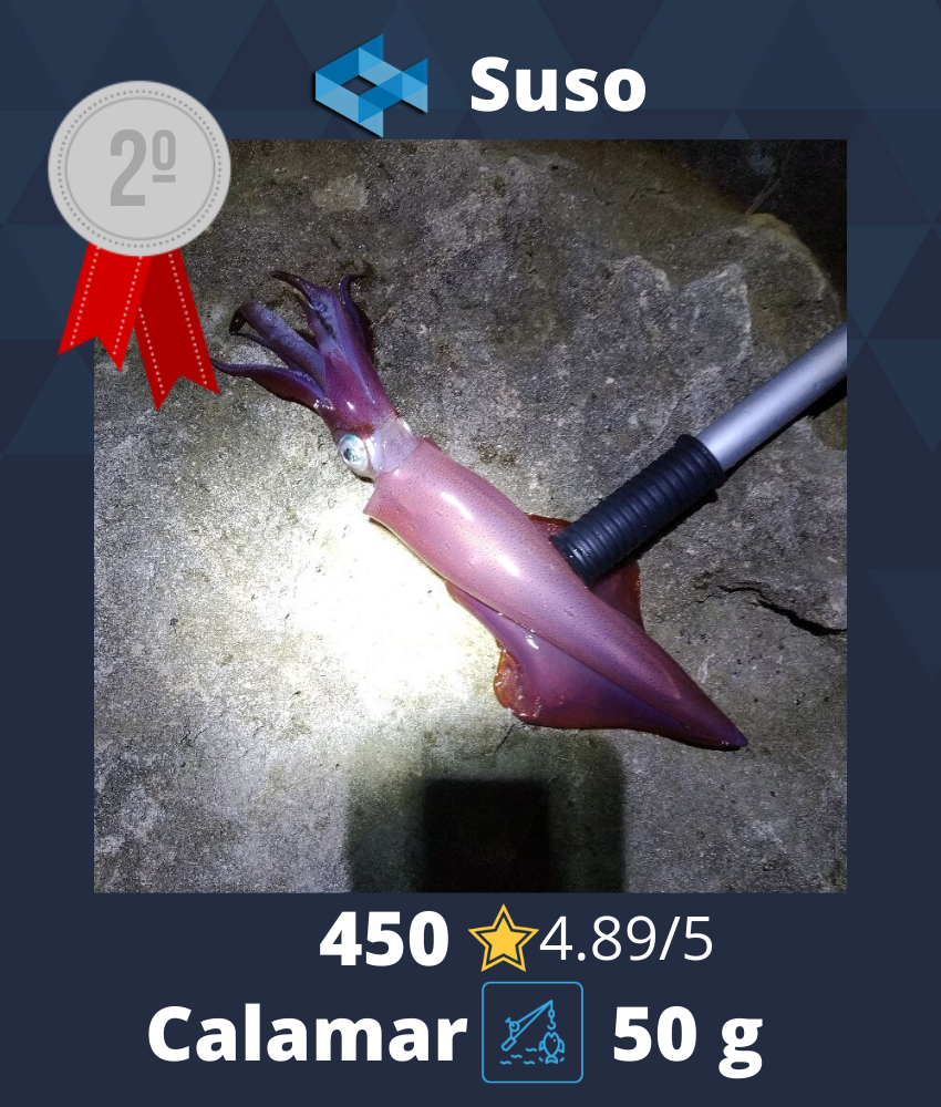 Captura calamar WeFish