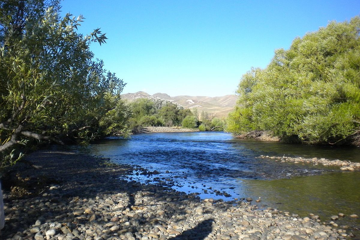 Pescar en el Chimehuin