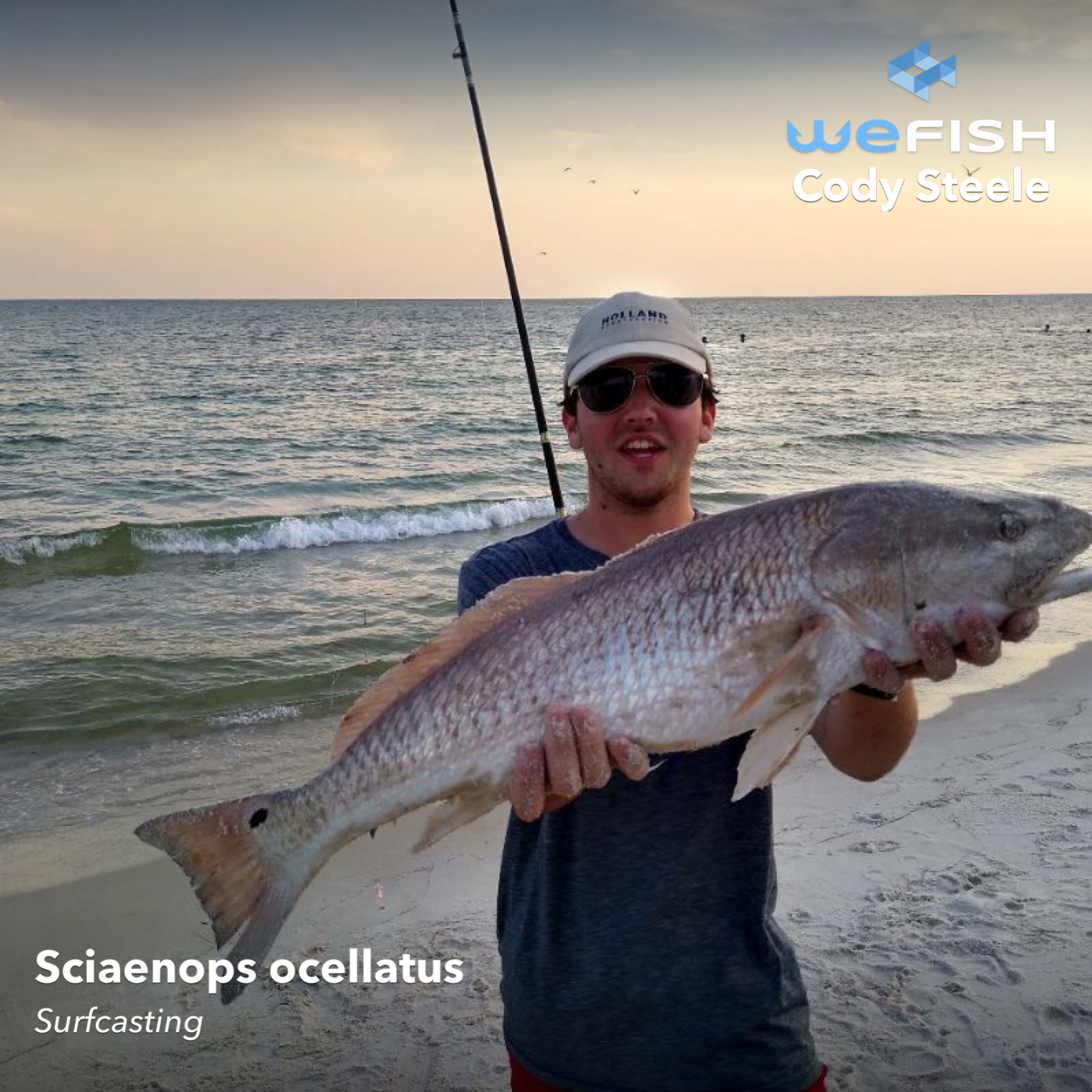 Fishing for redfish by surfcasting
