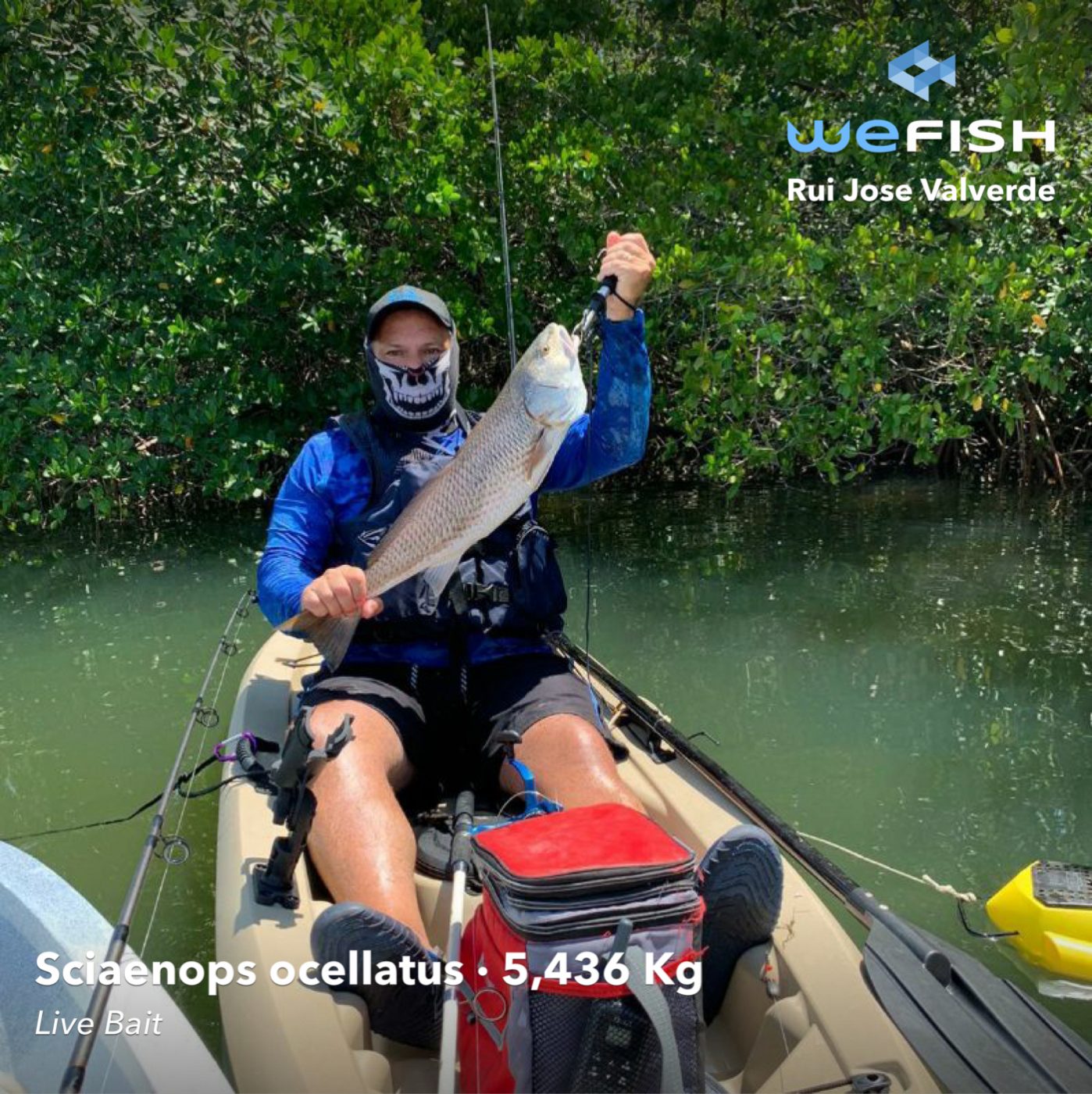 how to catch red drum