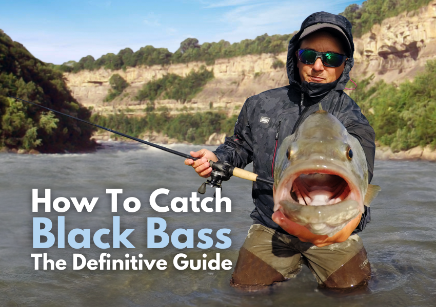 Black Bass  How To Catch Black Bass? - Wefish