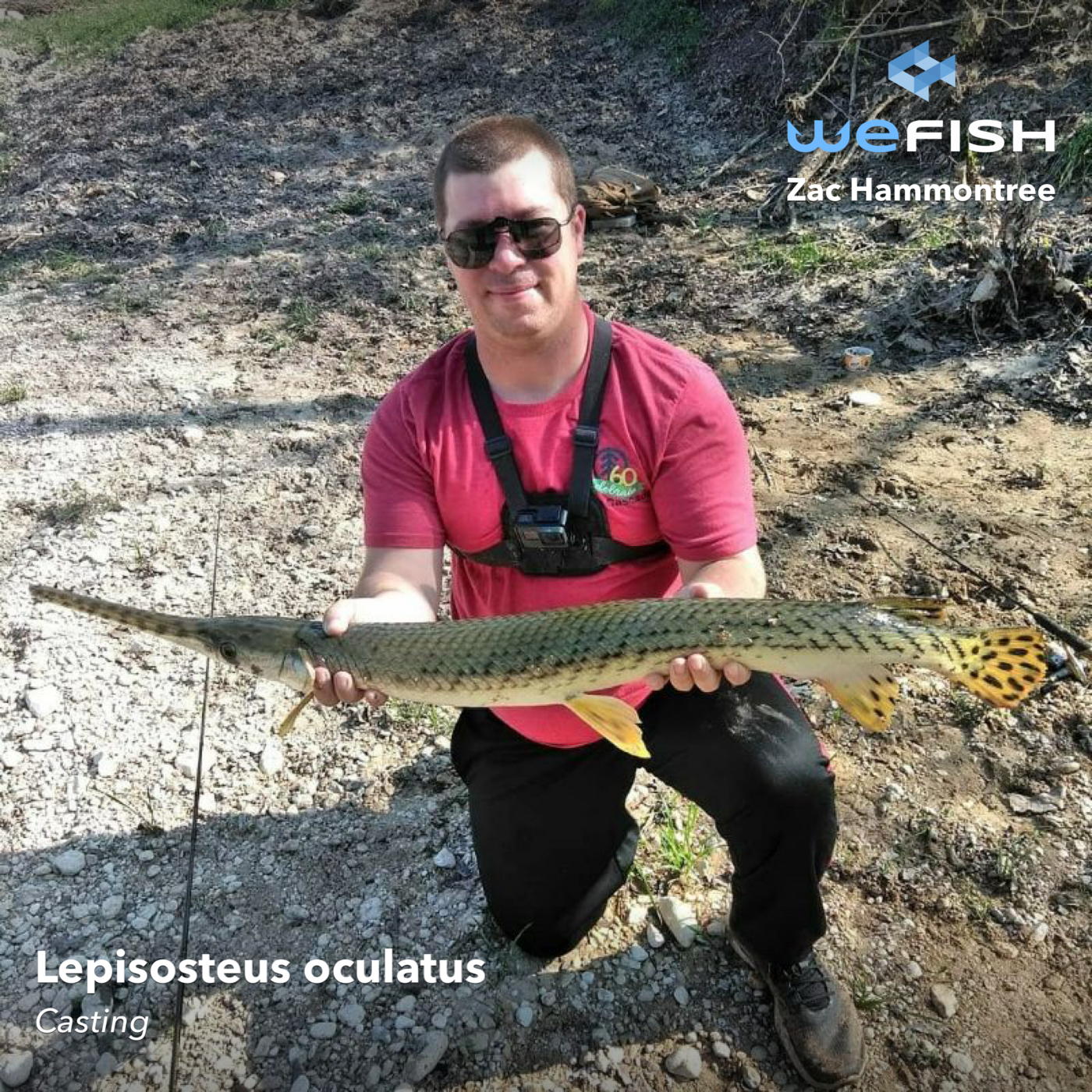 fishing for gar WeFish