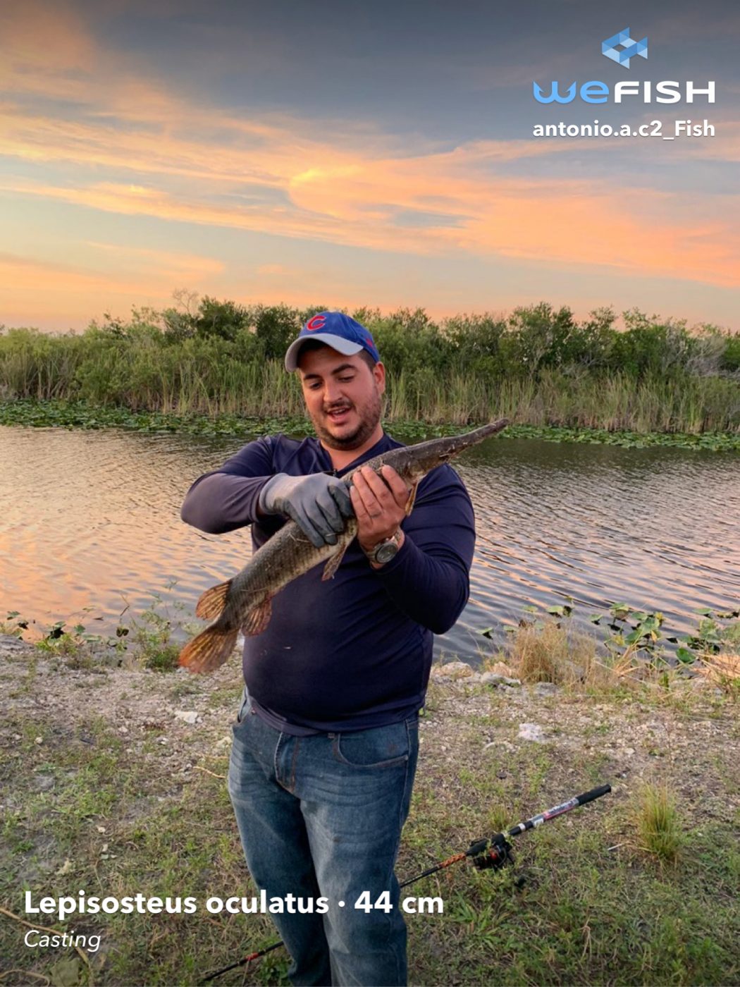 fishing for gar wefish