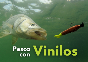 Pesca con vinilos