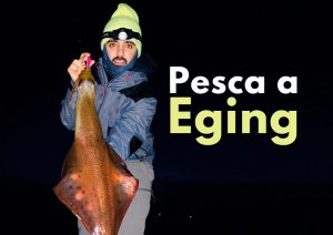 Pesca eging