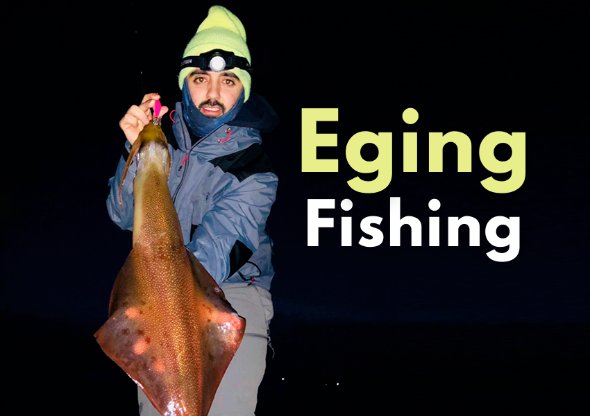 fishing planet exp guide level 25