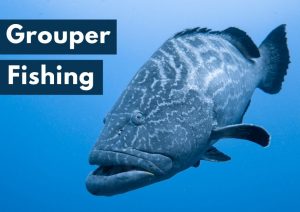 Grouper fishing