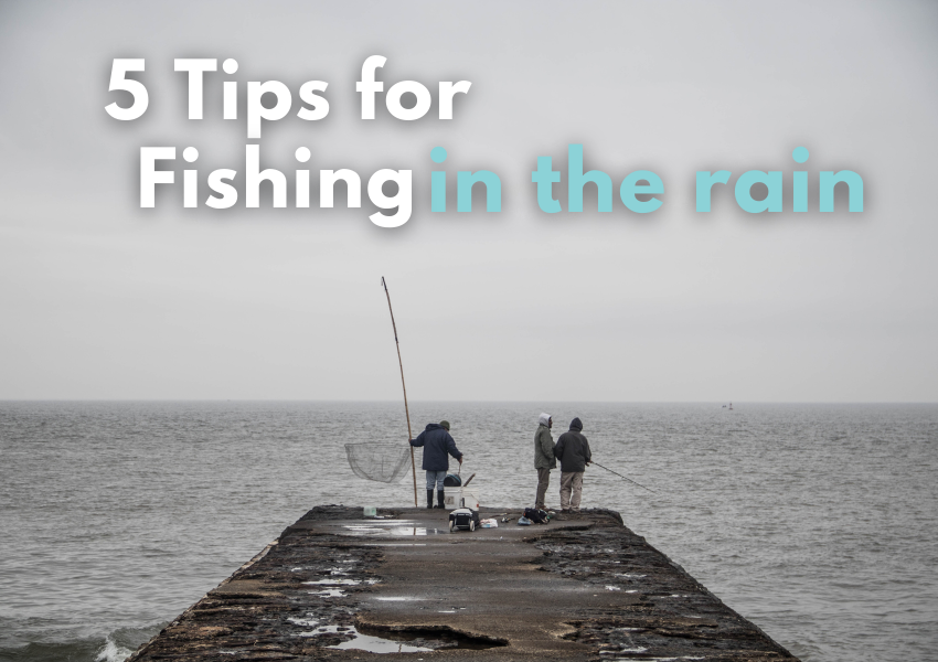 5 Tips for Fishing in the rain 🌧️ | WeFish the Best Fishing App