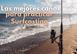 cañas para practicar surfcasting