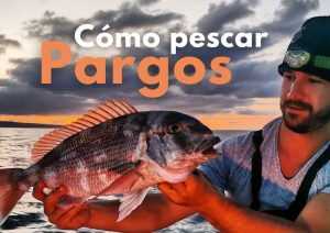 pescar pargos