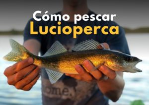 trucos luciopercas