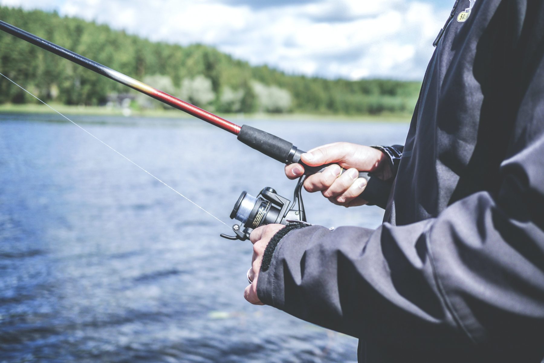 aparejos de pesca