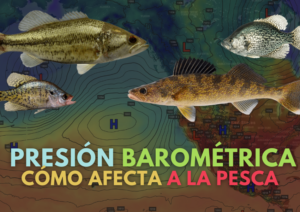 presión barométrica