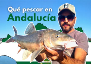 pescar en andalucía