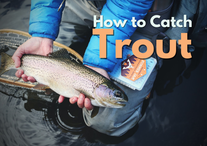 speed hook fishing - Pesquisa Google  Trout fishing tips, Fishing tips,  Fishing techniques