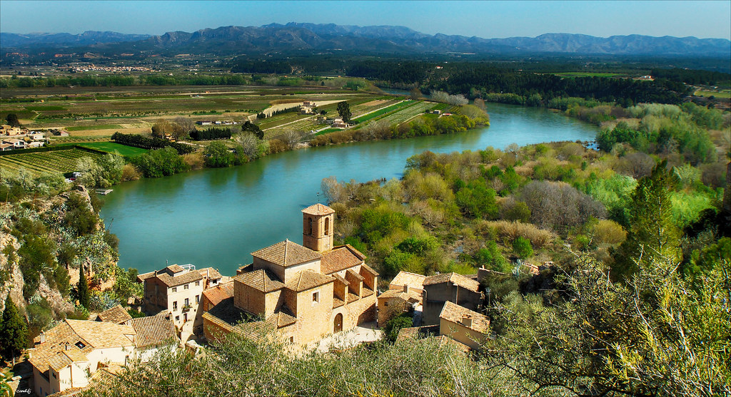 Pescar Carpas en España