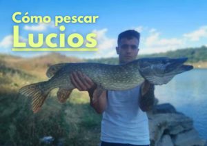 trucos para pescar lucios