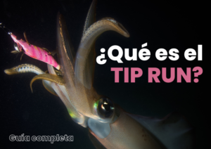 Pesca tip run