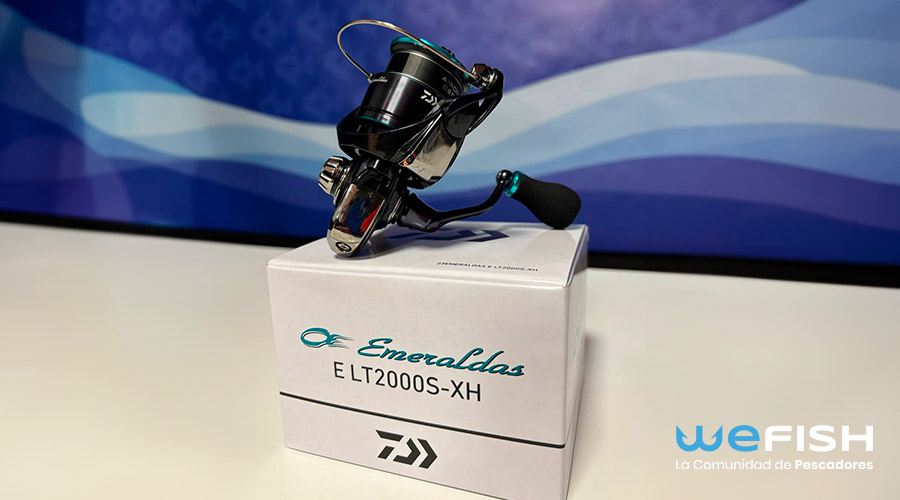 Daiwa ha vuelto a lanzar una nueva versión de su carrete emeralda, específico para la pesca de Eging en el sur de Europa, el Daiwa Emeralda E LT 2023.