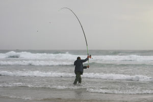 lanzar surfcasting